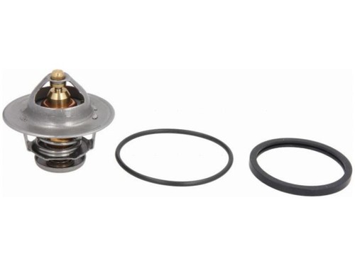 Termostato per fiat ducato - fiat,